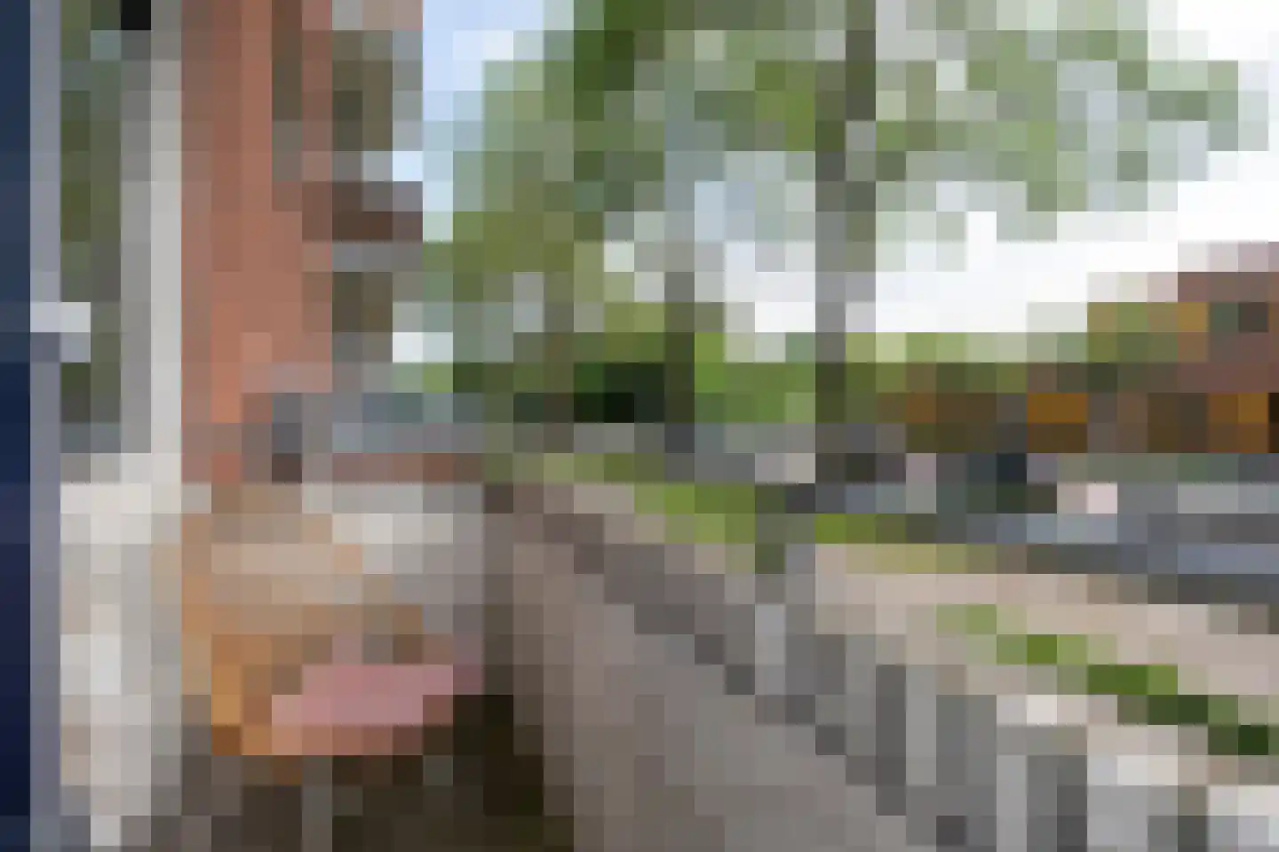 Van Lenneplaan 65 Groningen thumbnail 10