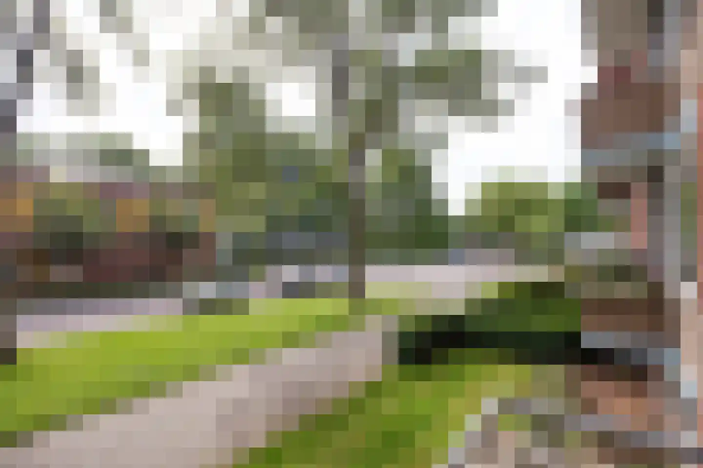 Van Lenneplaan 65 Groningen thumbnail 12