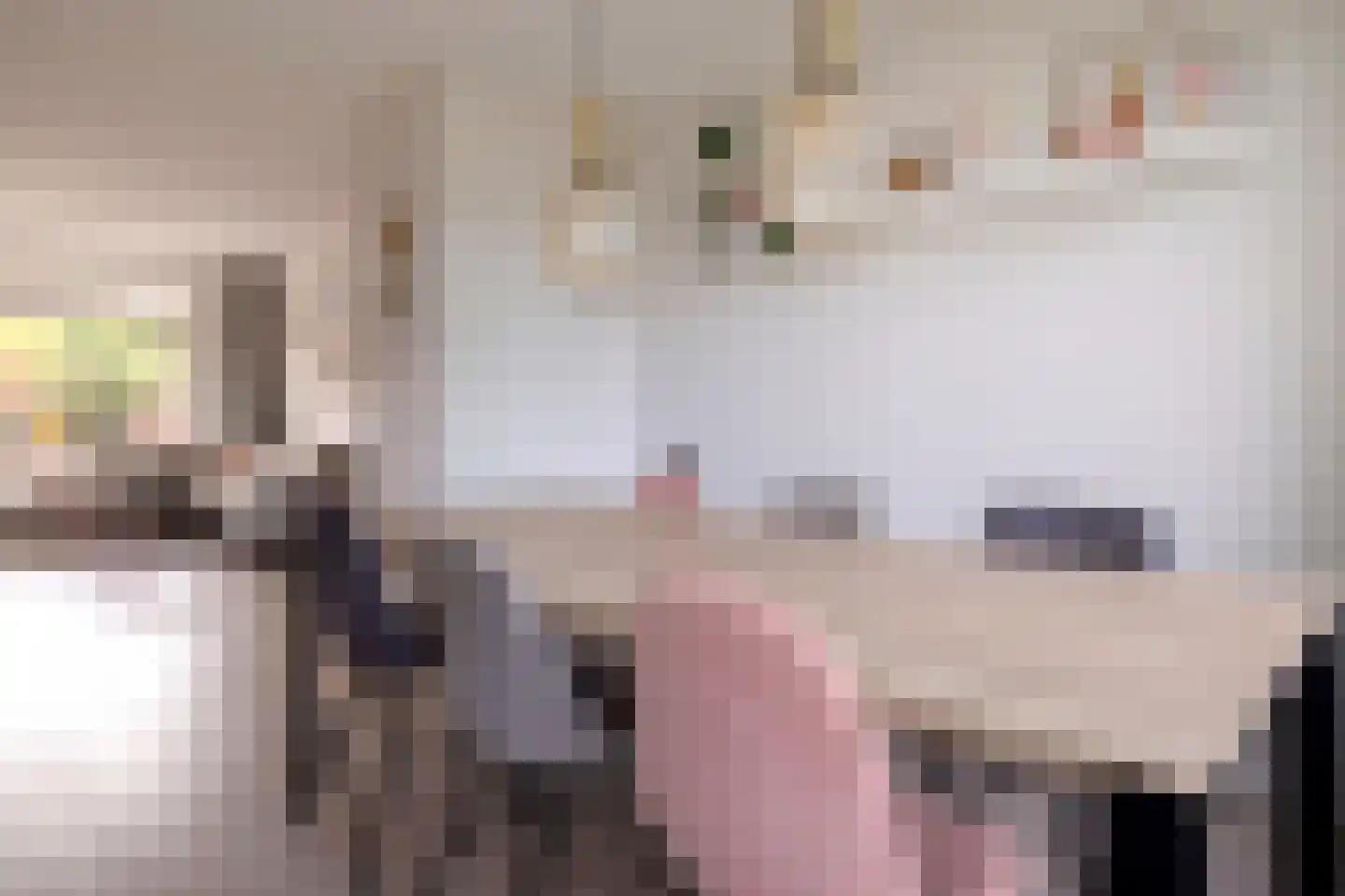Van Lenneplaan 65 Groningen thumbnail 15