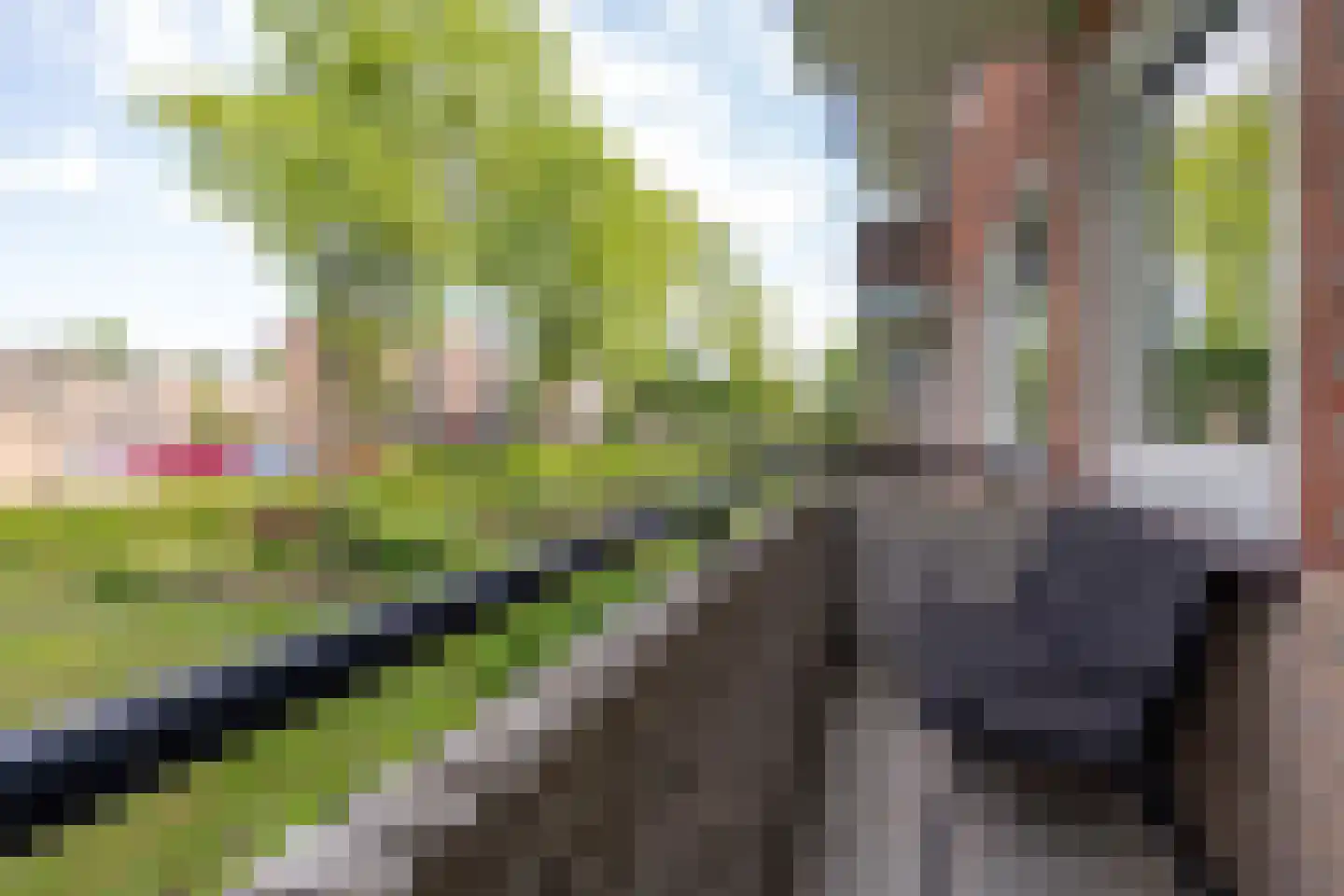 Van Lenneplaan 65 Groningen thumbnail 17