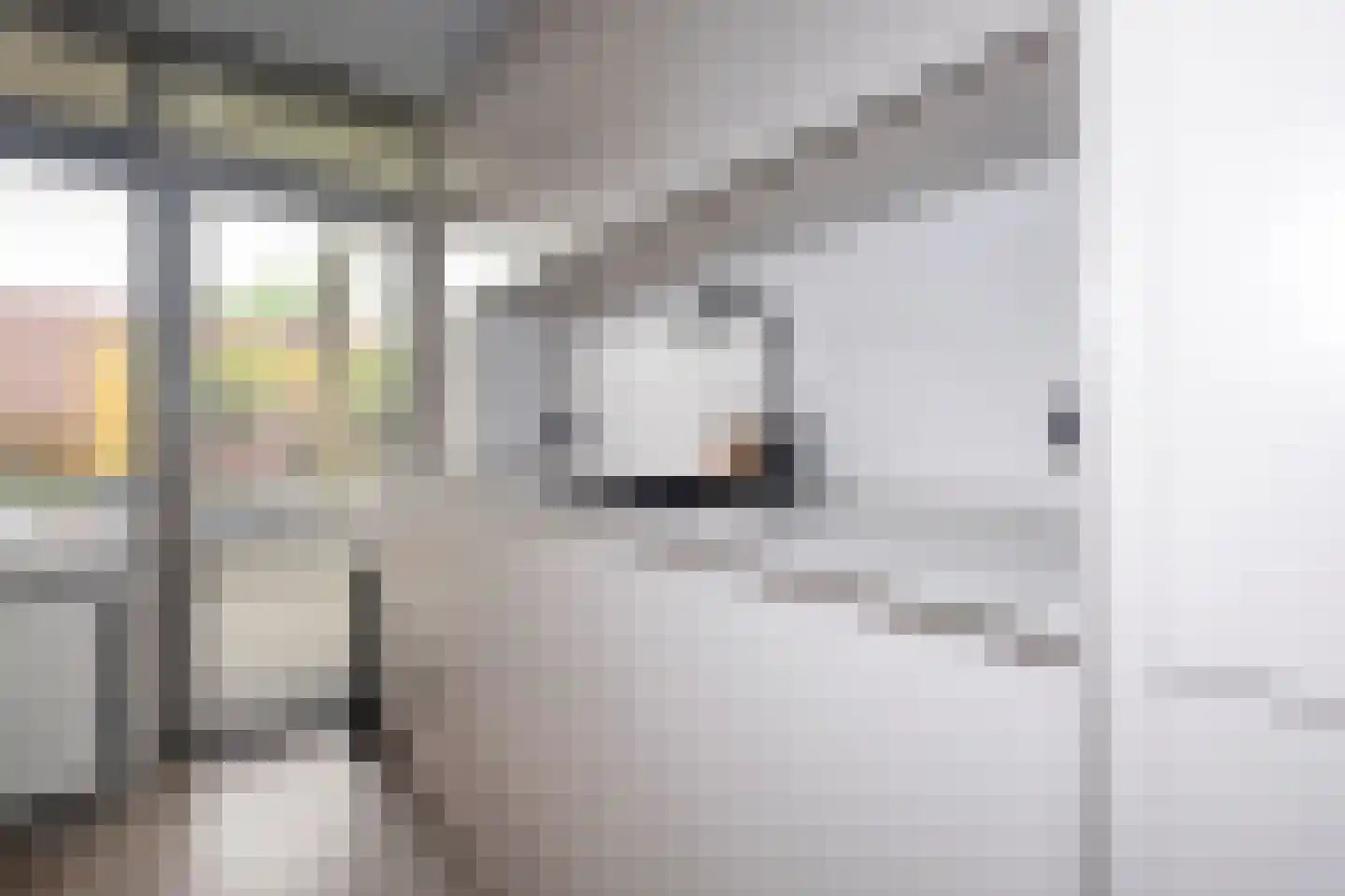 Van Lenneplaan 65 Groningen thumbnail 18
