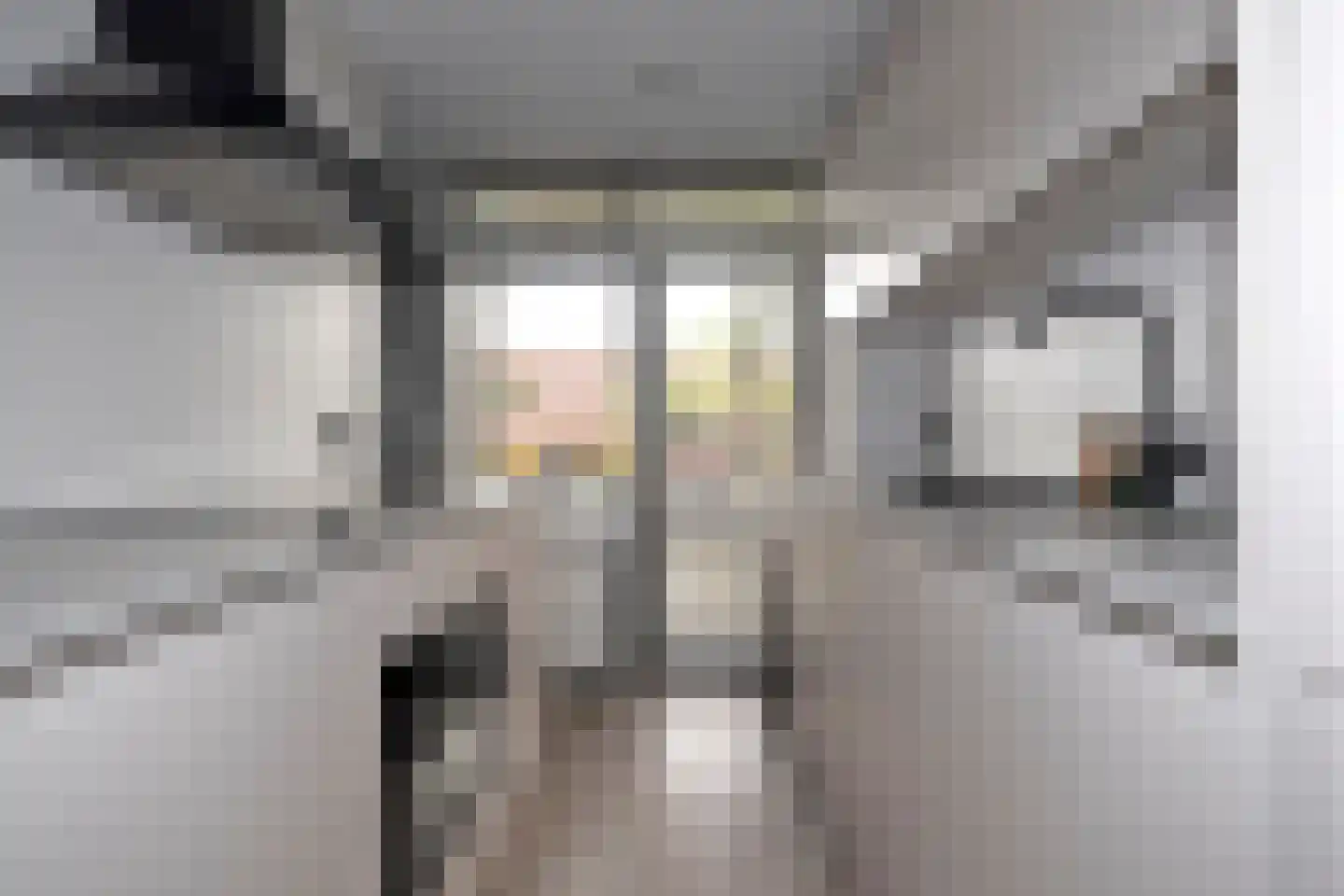Van Lenneplaan 65 Groningen thumbnail 19