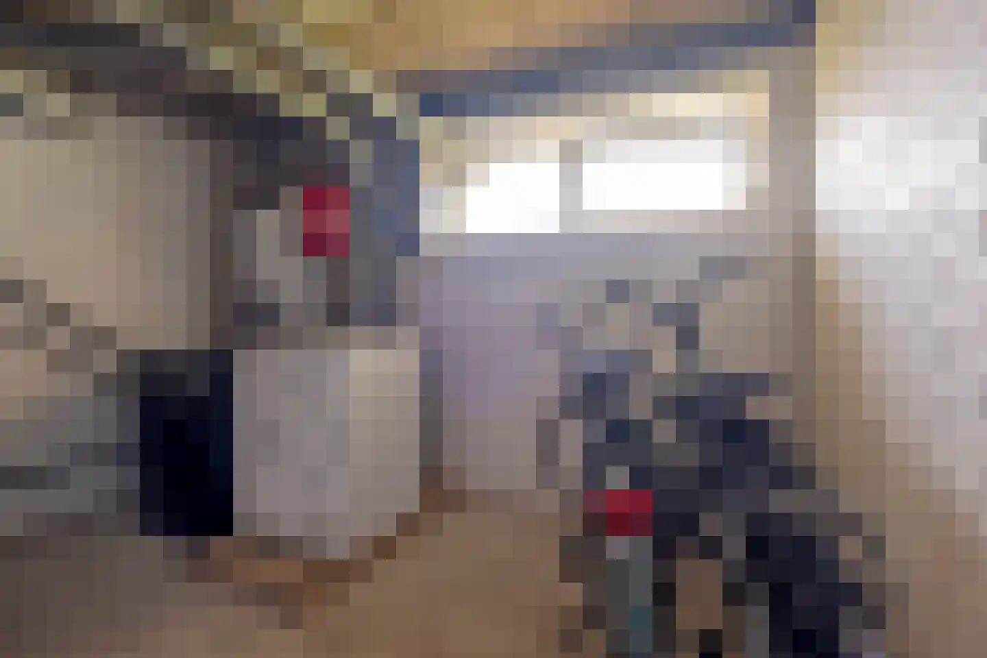 Van Lenneplaan 65 Groningen thumbnail 31