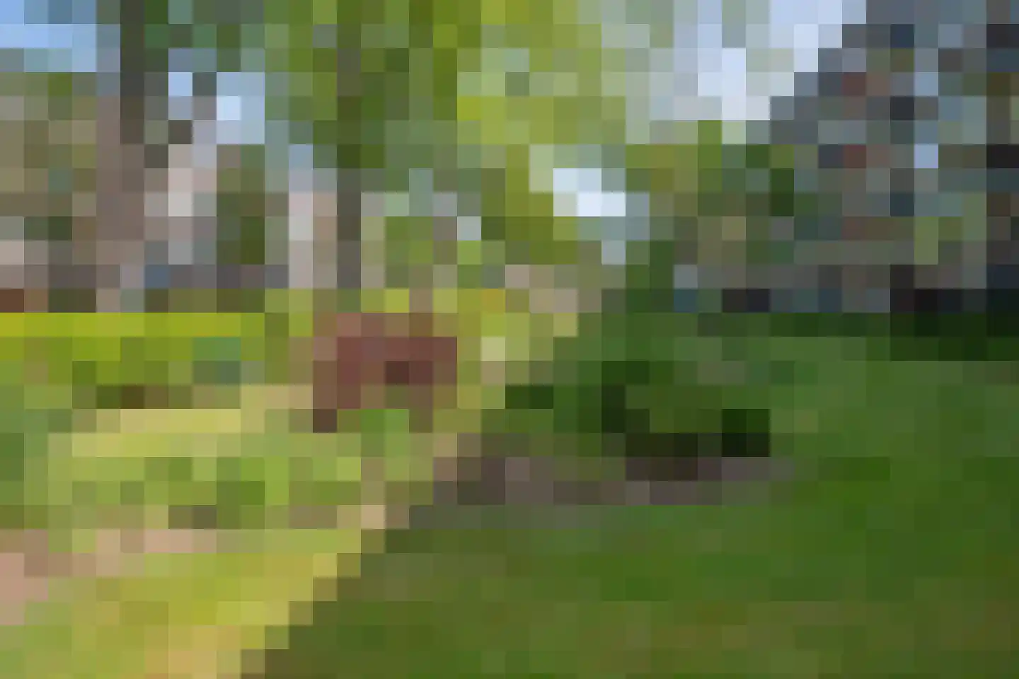 Van Lenneplaan 65 Groningen thumbnail 35