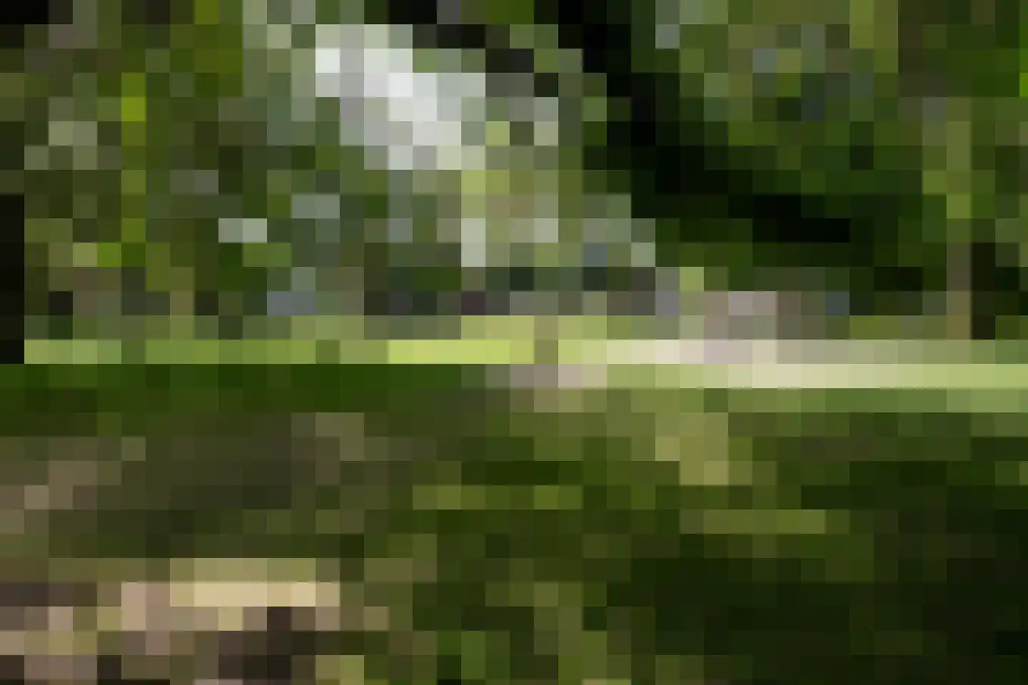 Van Lenneplaan 65 Groningen thumbnail 39