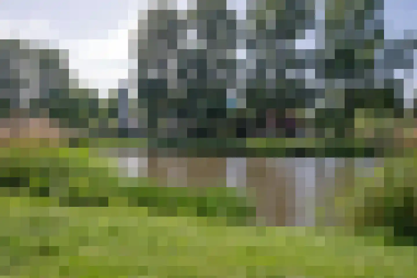 Van Lenneplaan 65 Groningen thumbnail 40