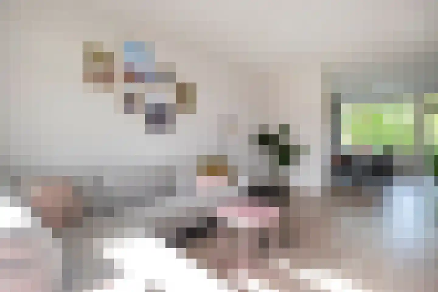 Van Lenneplaan 65 Groningen thumbnail 9