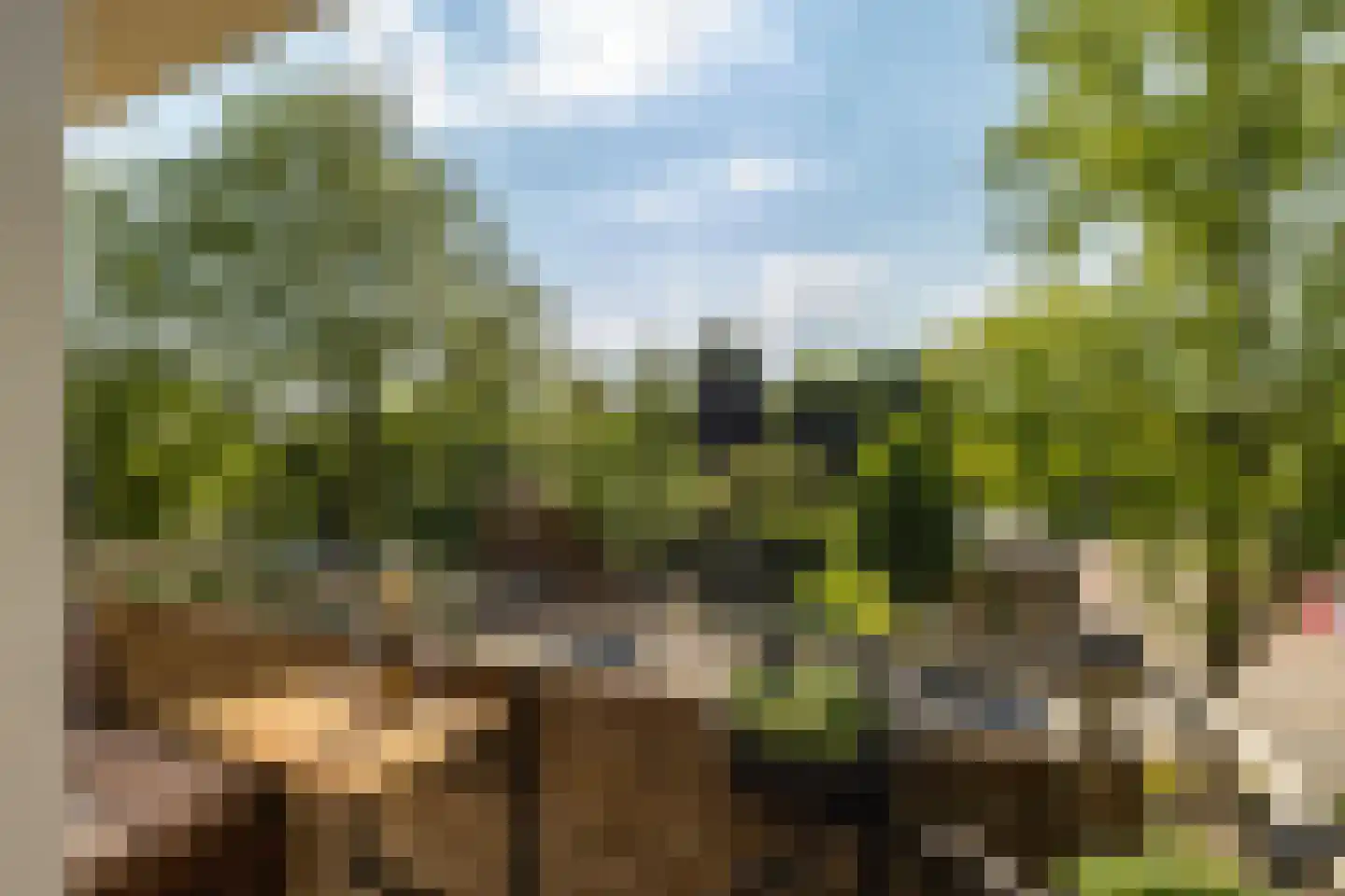 Van Lenneplaan 75 Groningen thumbnail 18