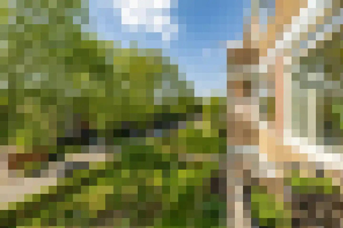 Van Lenneplaan 75 Groningen thumbnail 21