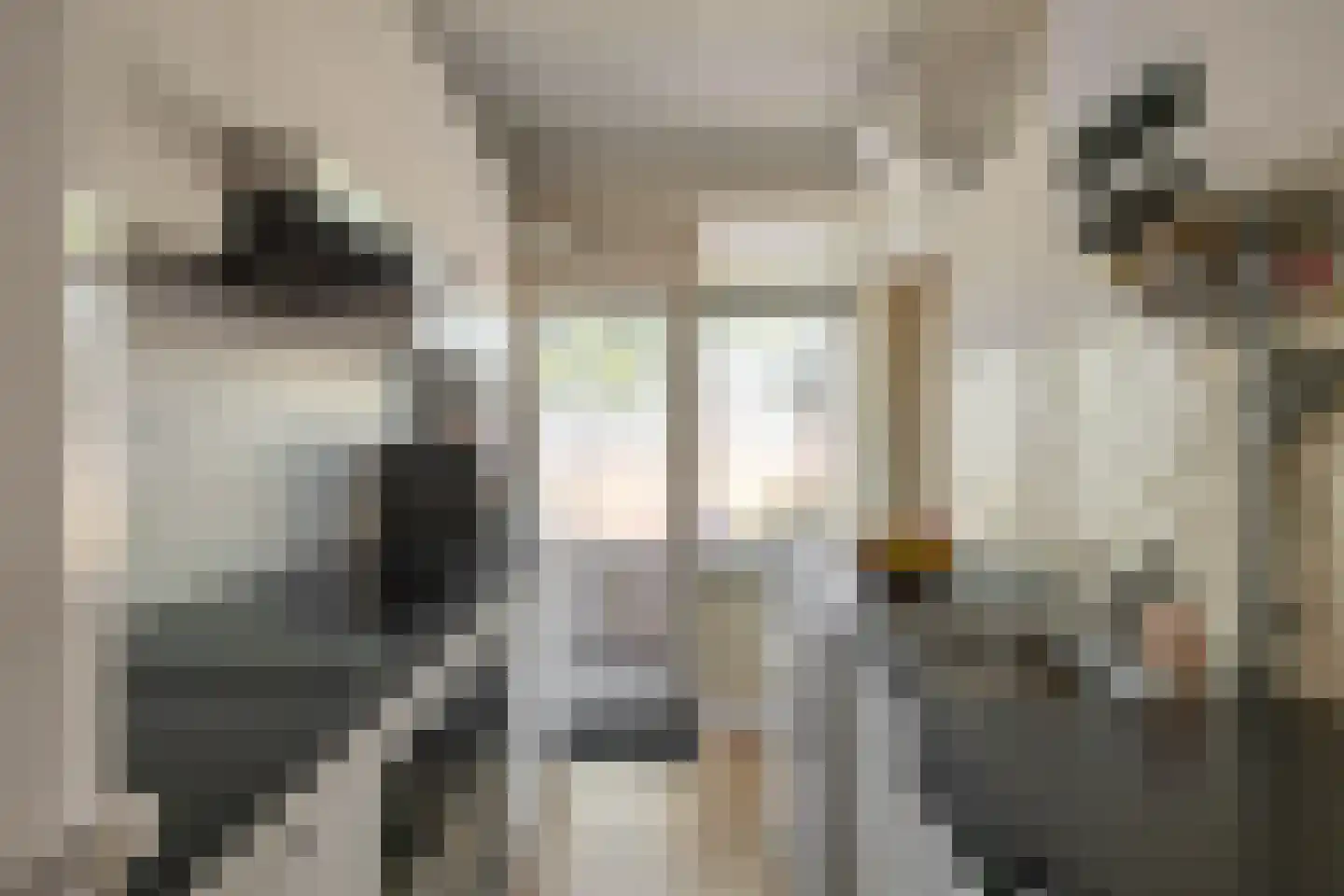 Van Lenneplaan 75 Groningen thumbnail 27