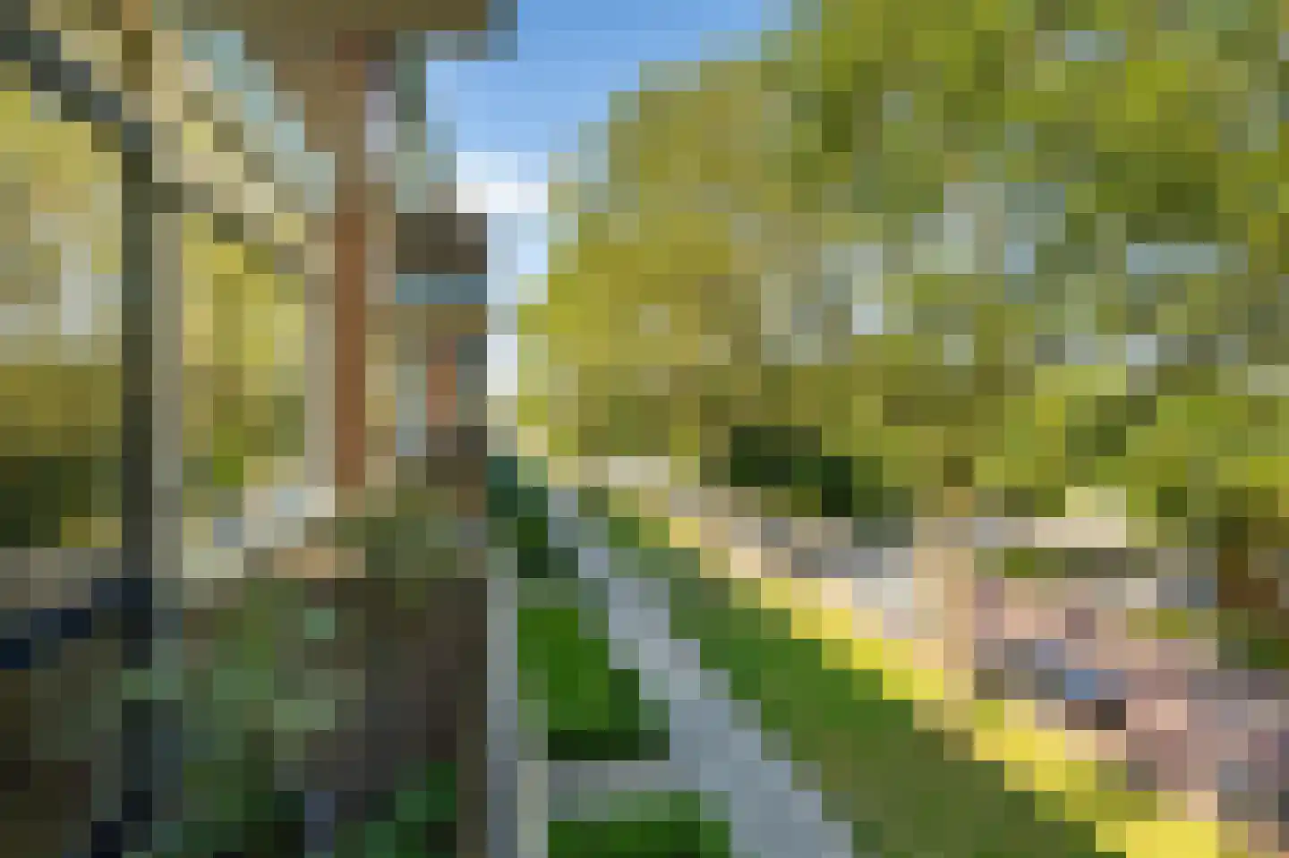 Van Lenneplaan 75 Groningen thumbnail 30