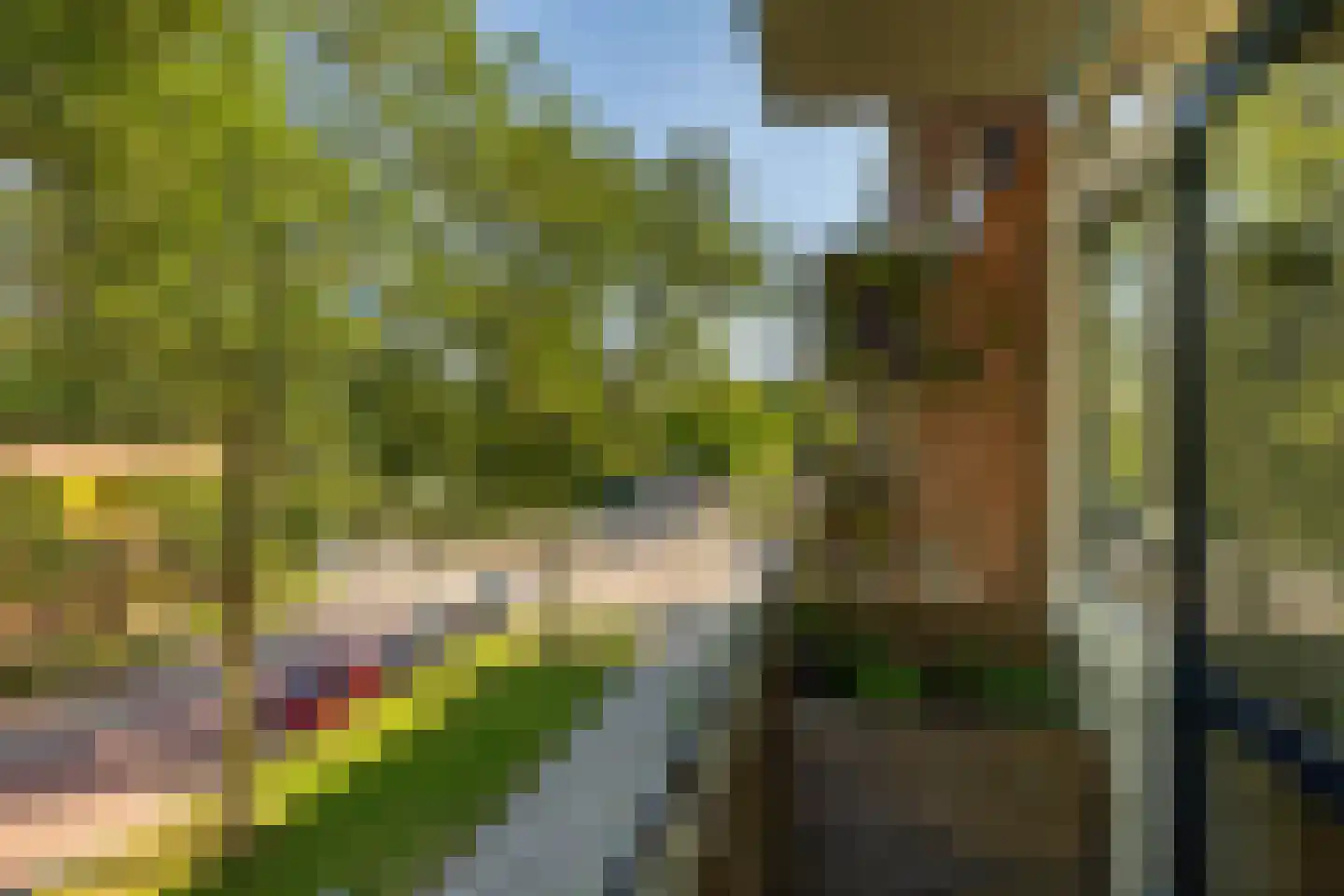 Van Lenneplaan 75 Groningen thumbnail 31