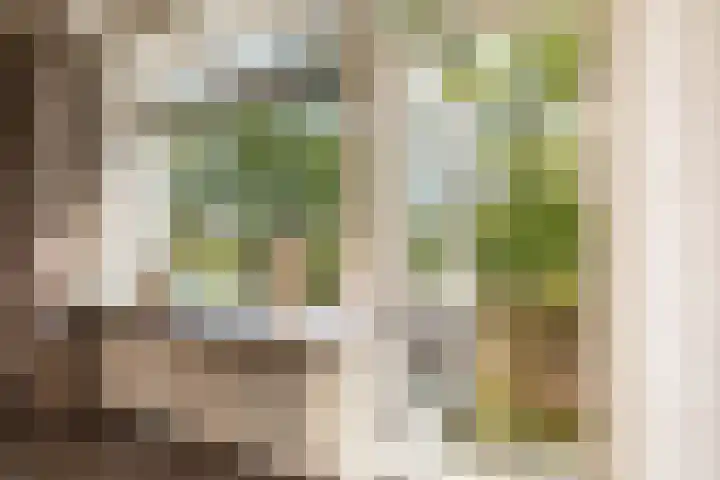 Van Lenneplaan 79 Groningen thumbnail 12