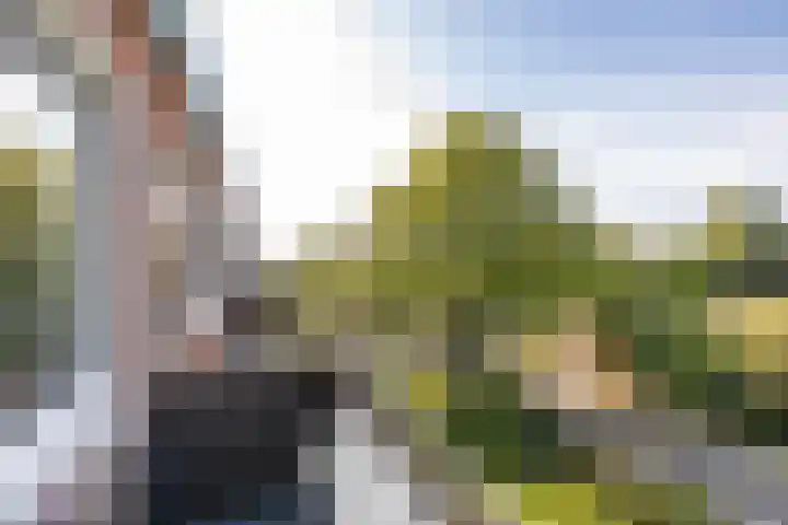 Van Lenneplaan 79 Groningen thumbnail 18