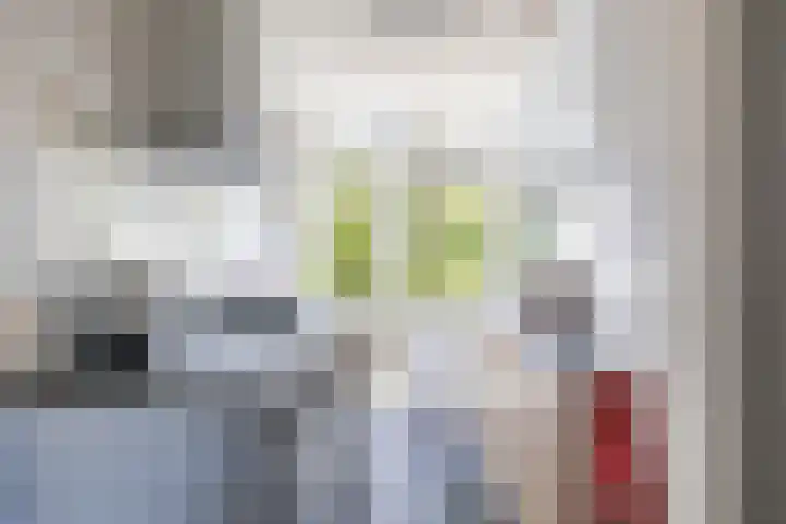 Van Lenneplaan 79 Groningen thumbnail 20