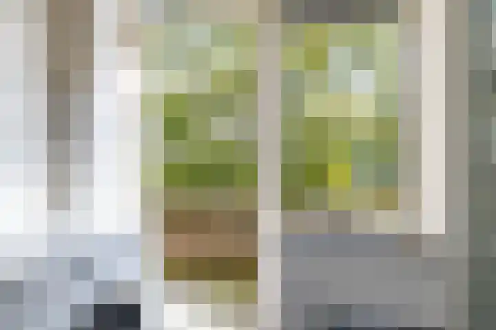 Van Lenneplaan 79 Groningen thumbnail 21