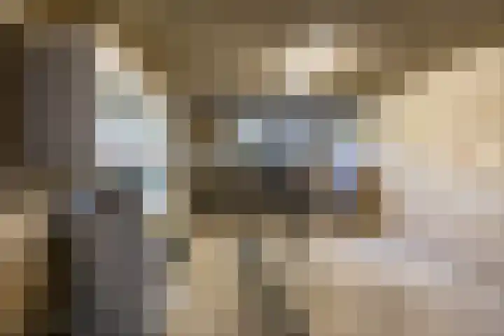 Van Lenneplaan 79 Groningen thumbnail 30