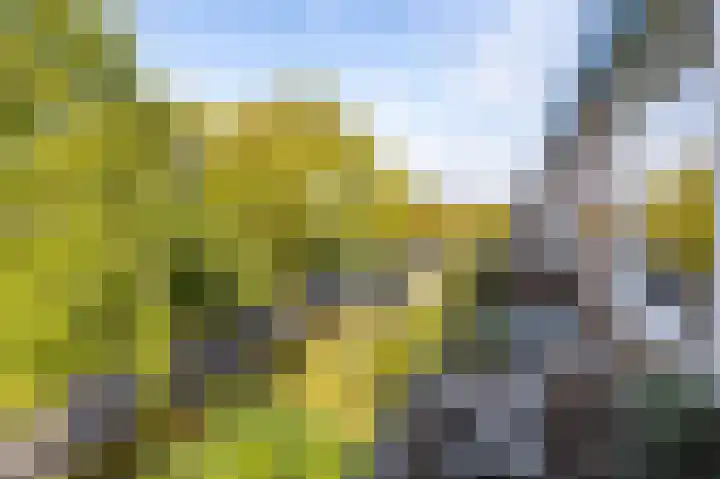 Van Lenneplaan 79 Groningen thumbnail 4