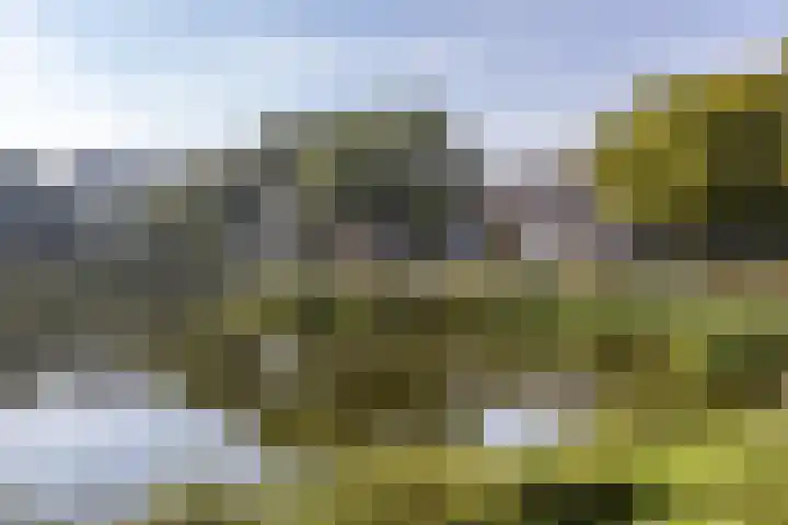 Van Lenneplaan 79 Groningen thumbnail 5