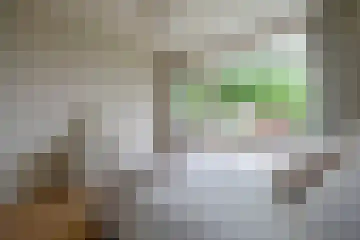Van Lenneplaan 87 Groningen thumbnail 14