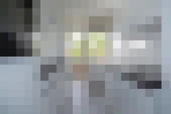 Van Lenneplaan 87 Groningen thumbnail 15