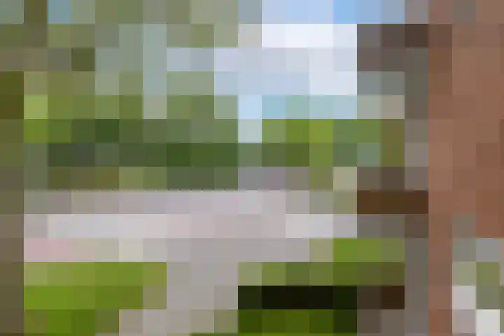 Van Lenneplaan 87 Groningen thumbnail 22