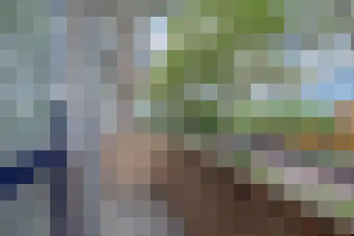 Van Lenneplaan 87 Groningen thumbnail 23