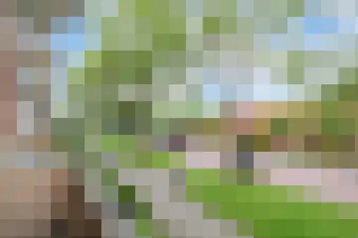 Van Lenneplaan 87 Groningen thumbnail 24