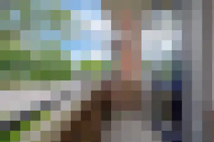 Van Lenneplaan 87 Groningen thumbnail 25