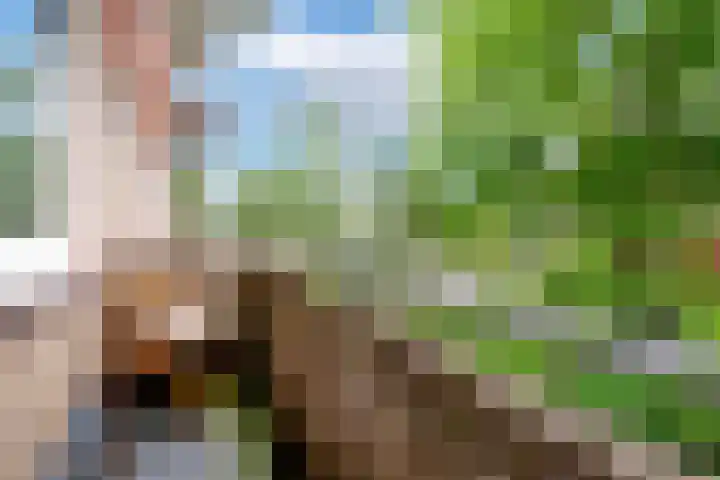 Van Lenneplaan 87 Groningen thumbnail 32