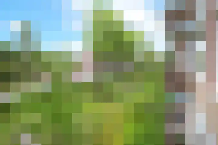 Van Lenneplaan 87 Groningen thumbnail 33