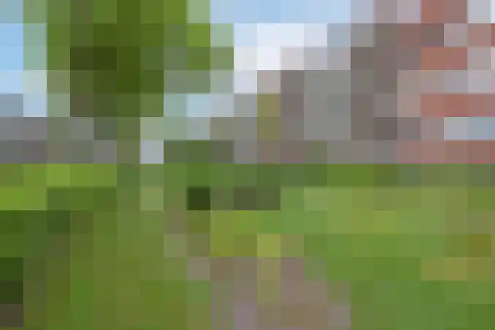 Van Lenneplaan 87 Groningen thumbnail 36