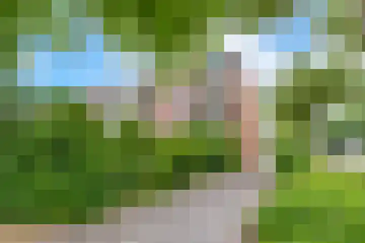 Van Lenneplaan 87 Groningen thumbnail 37