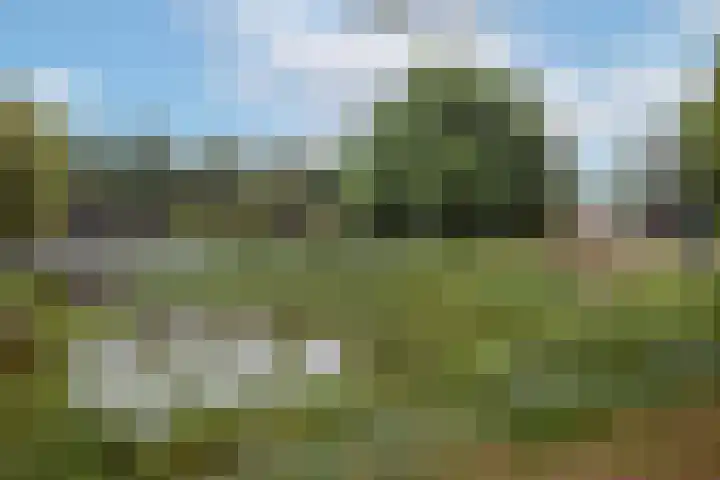 Van Lenneplaan 87 Groningen thumbnail 38