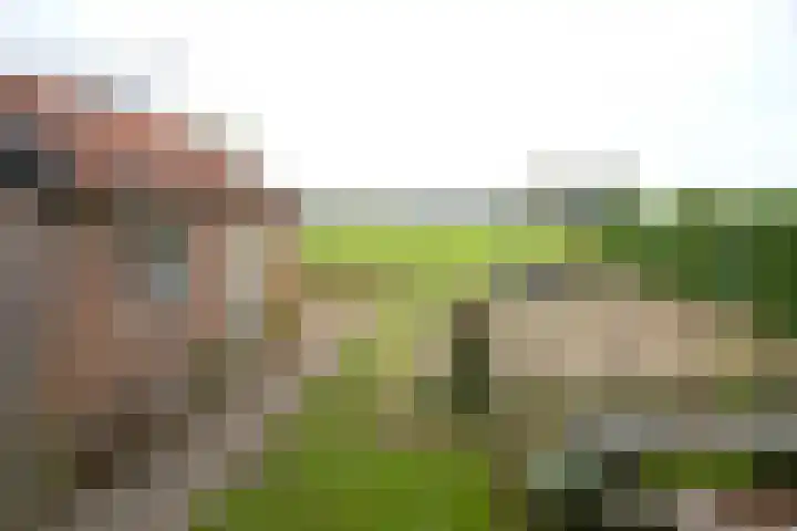 van Lenneplaan 9 Soest thumbnail 27