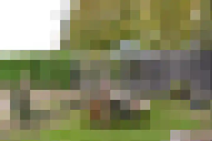 van Lenneplaan 9 Soest thumbnail 28