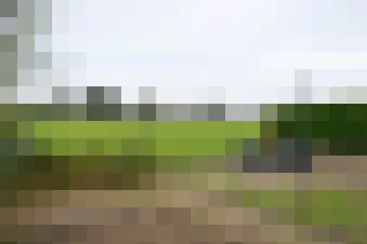 van Lenneplaan 9 Soest thumbnail 30