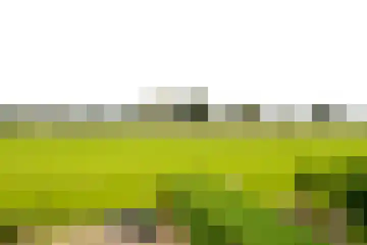 van Lenneplaan 9 Soest thumbnail 4