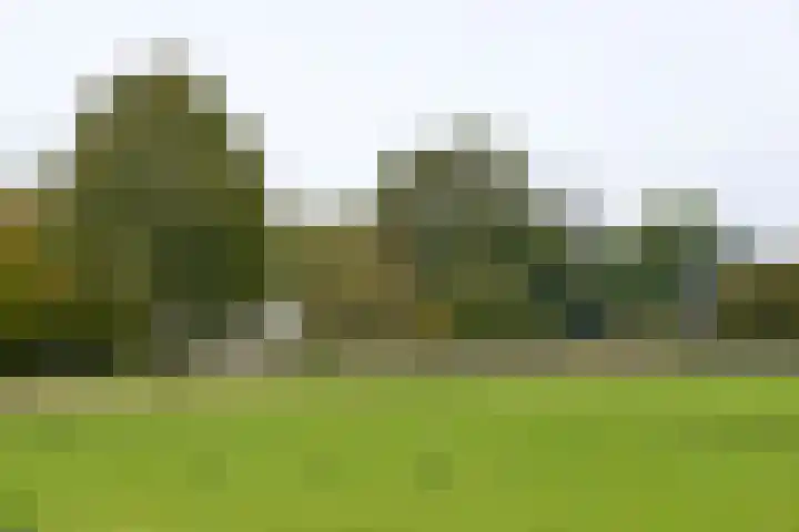 van Lenneplaan 9 Soest thumbnail 5