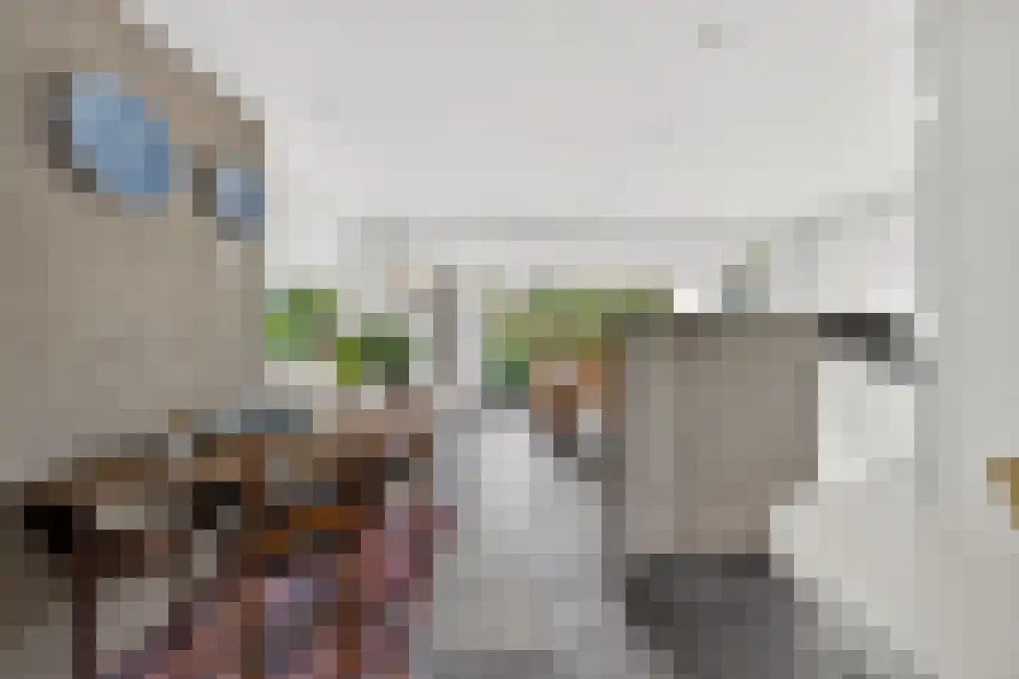 Van Lenneppad 7 Alblasserdam thumbnail 20