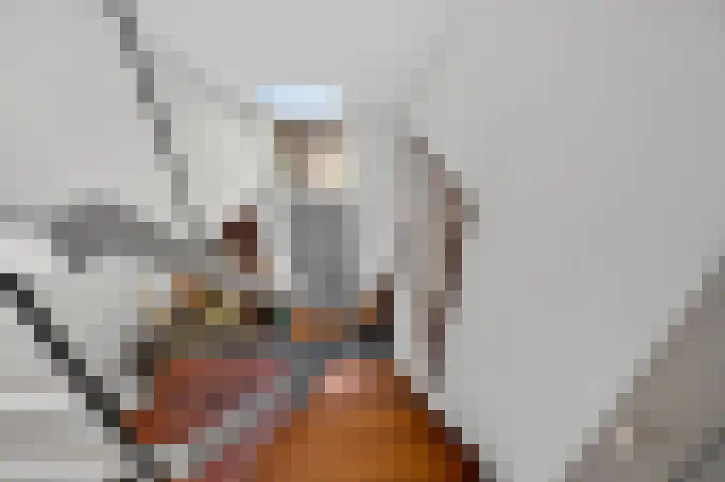 Van Lenneppad 7 Alblasserdam thumbnail 29