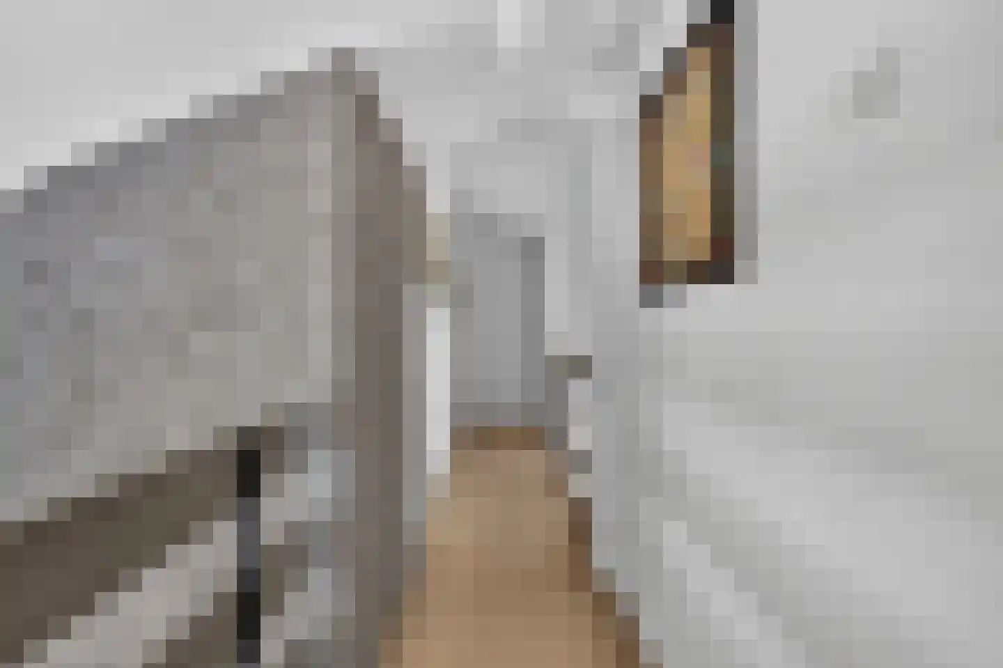 Van Lenneppad 7 Alblasserdam thumbnail 30