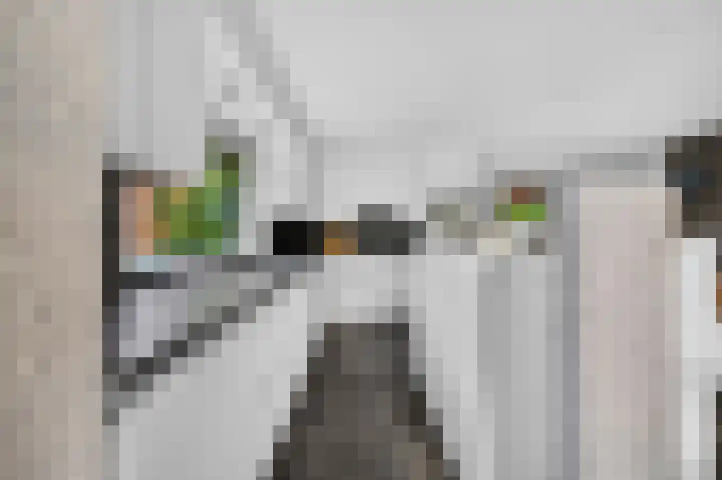 Van Lenneppad 7 Alblasserdam thumbnail 4