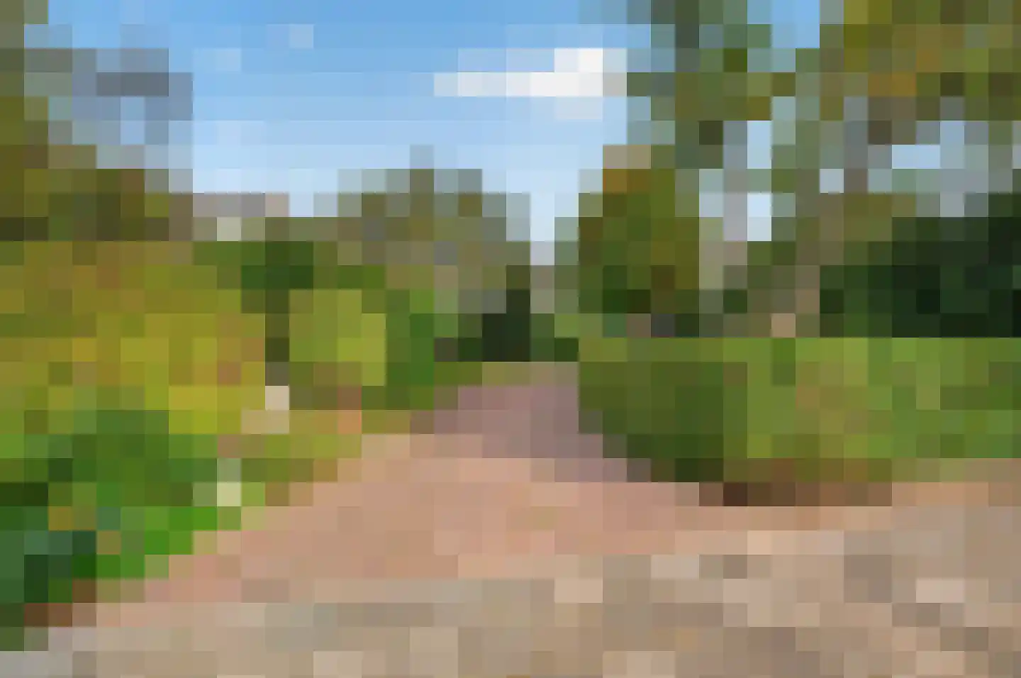 Van Lenneppad 7 Alblasserdam thumbnail 61