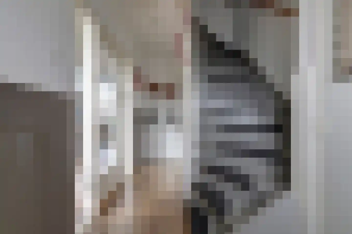 van Lennepstraat 12 's-Gravenzande thumbnail 15