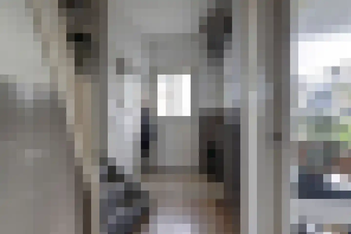 van Lennepstraat 12 's-Gravenzande thumbnail 16