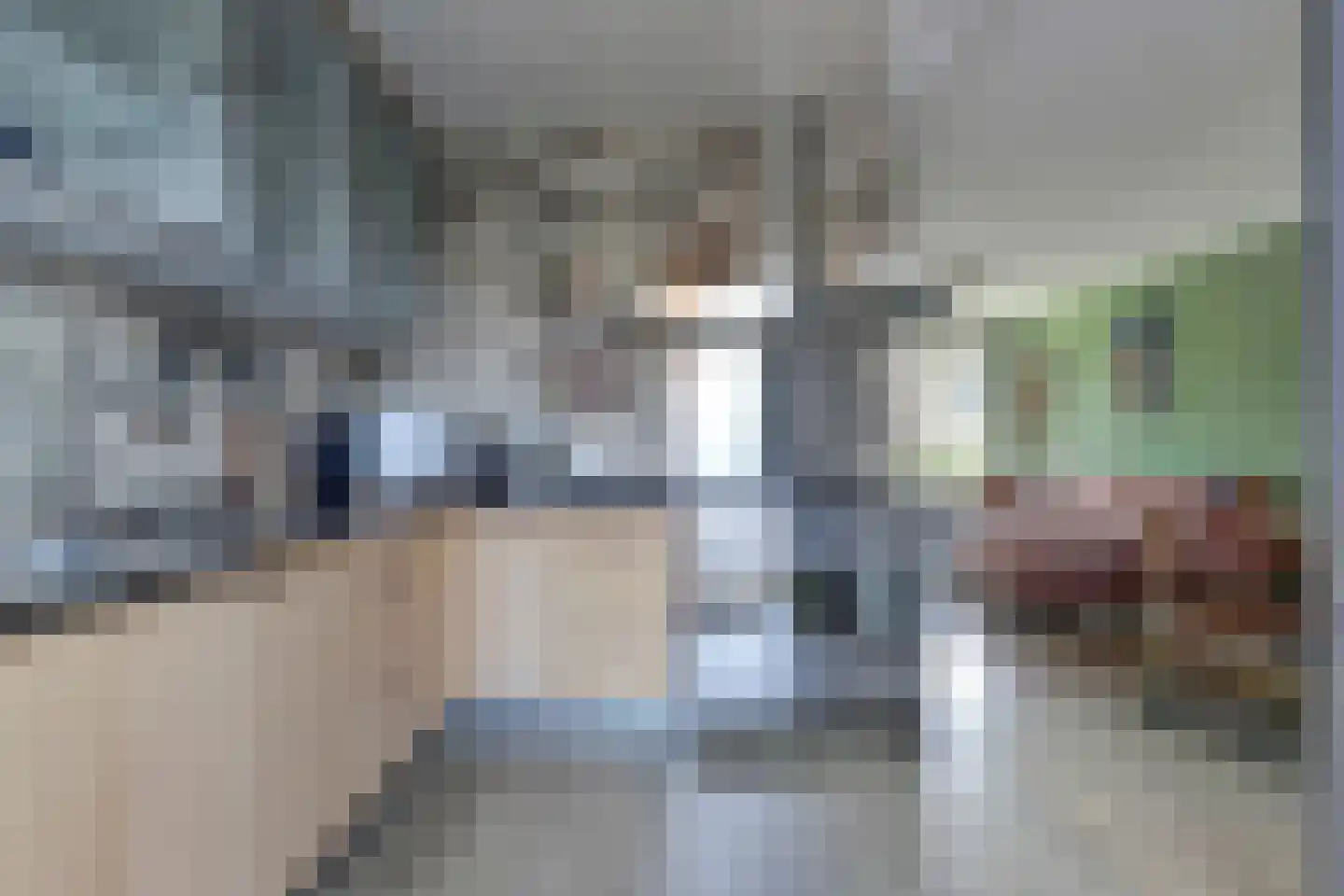 van Lennepstraat 12 's-Gravenzande thumbnail 23