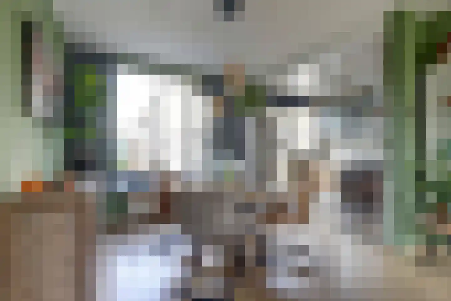 van Lennepstraat 12 's-Gravenzande thumbnail 4