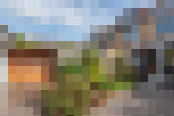 van Lennepstraat 13 Heerhugowaard thumbnail 34
