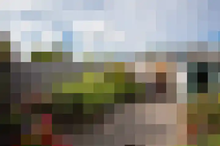 van Lennepstraat 13 Heerhugowaard thumbnail 35